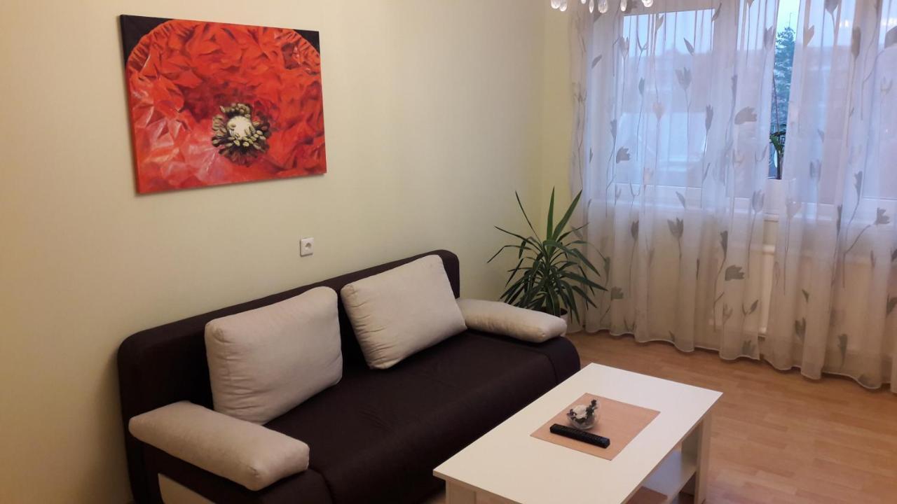 Grazinos Apartamentai Panevėžys Eksteriør bilde